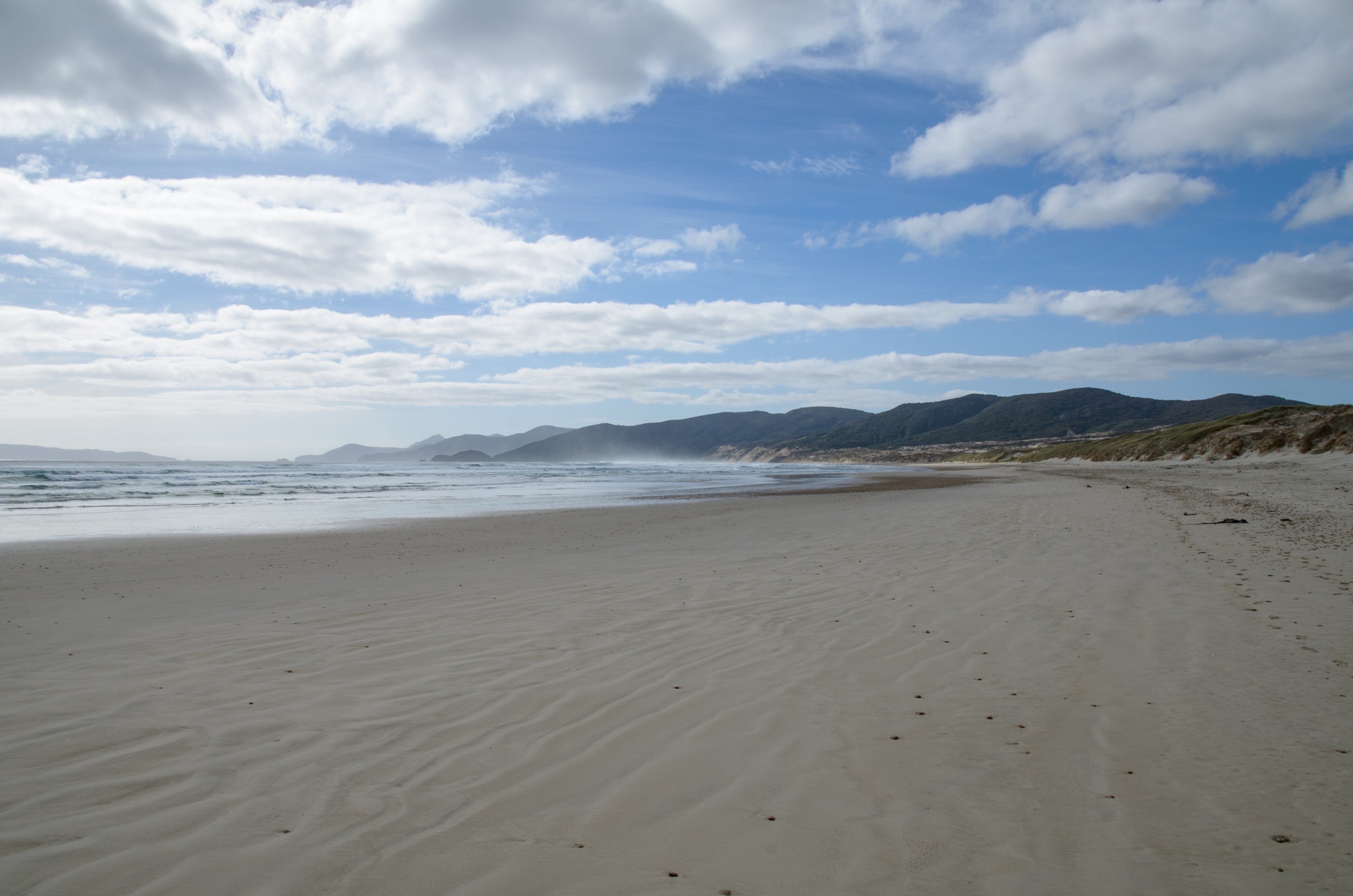 DSC_1827 – Adventure, Bay, Beach, Crispin, Flights, Island, March 2017, Mason, Mason Bay, National Park, New, New Zealand, Rakiura, South, Stewart, Zealand, plane